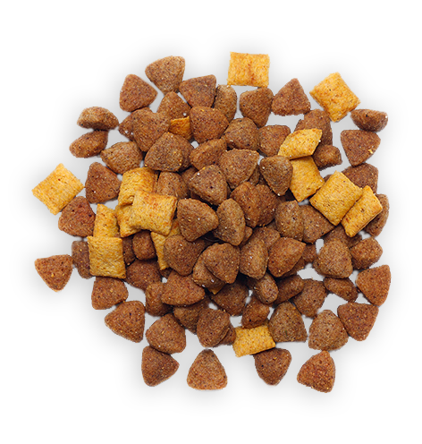 Dog food food-transparent-18